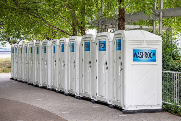 Best Luxury portable toilet rental  in Laurium, MI